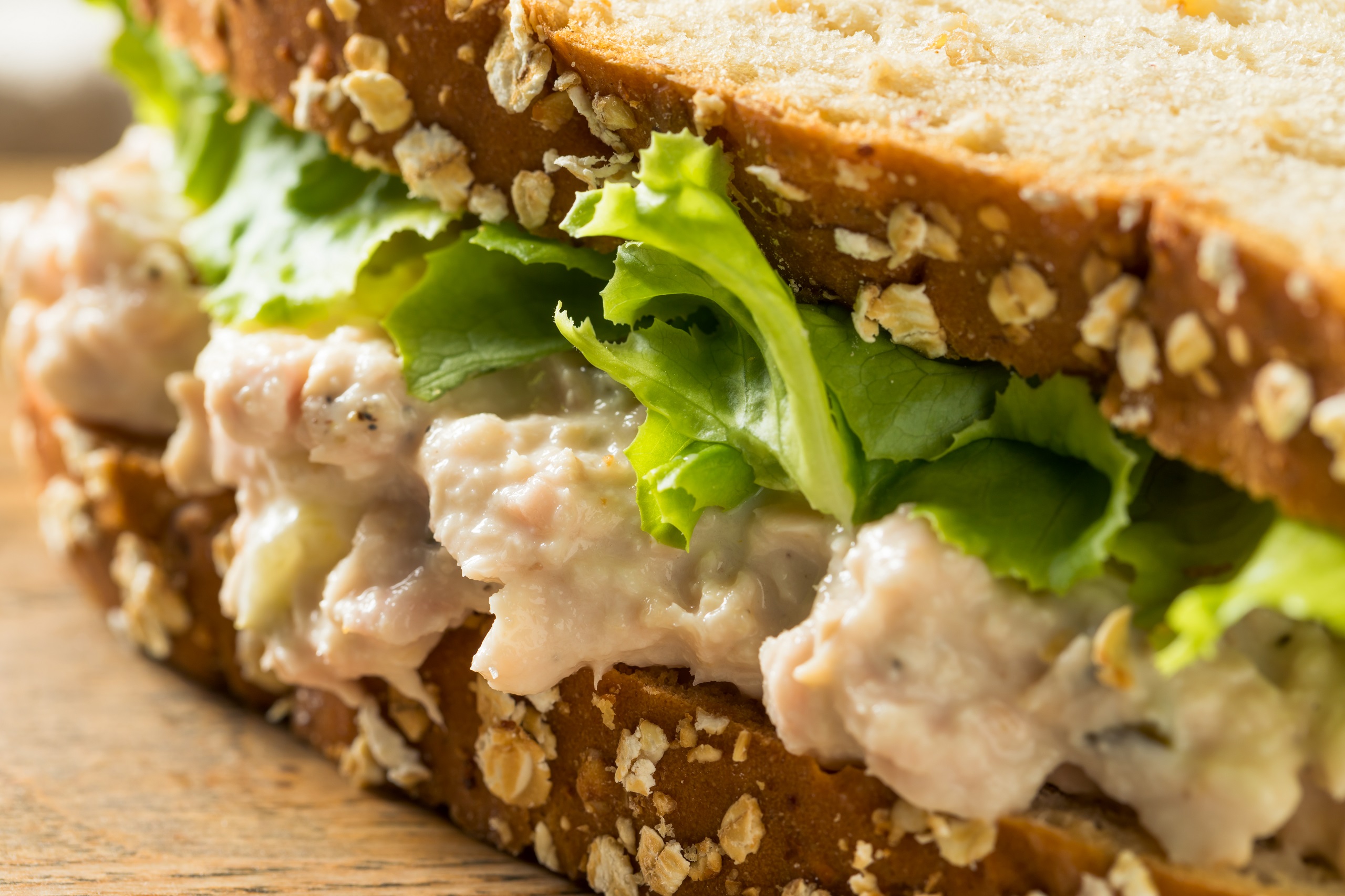 Homemade Fresh Tuna Salad Sandwich with Lettuce and Shaved Vegetables Lightly Seasoned.