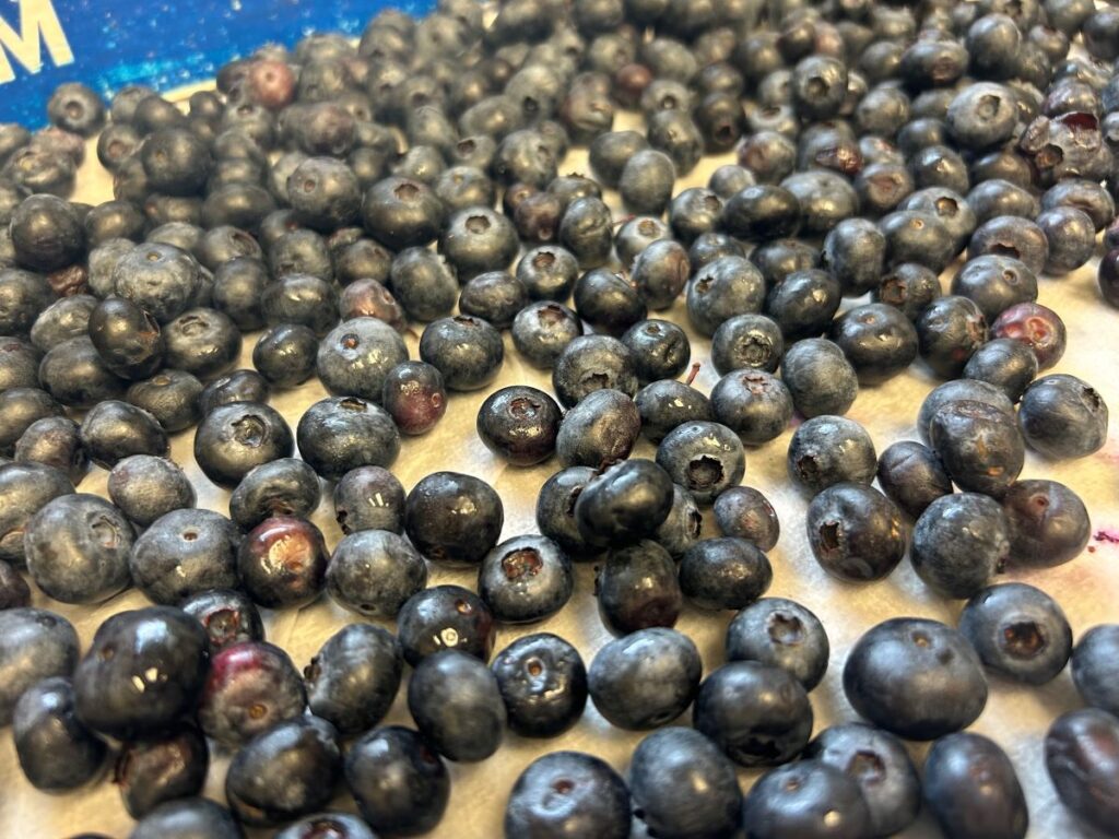 Fresh Seasonal Blueberries on a Wood Block.
