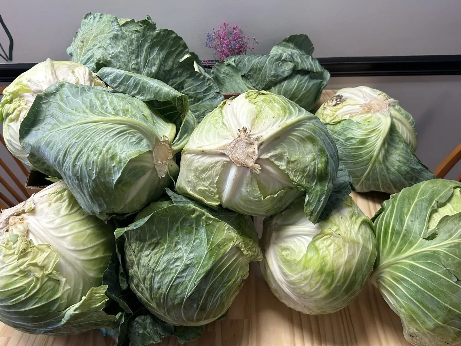 Fresh green cabbages piled on a table before being prepared for the XL halupki at Kat’s Café & Restaurant.