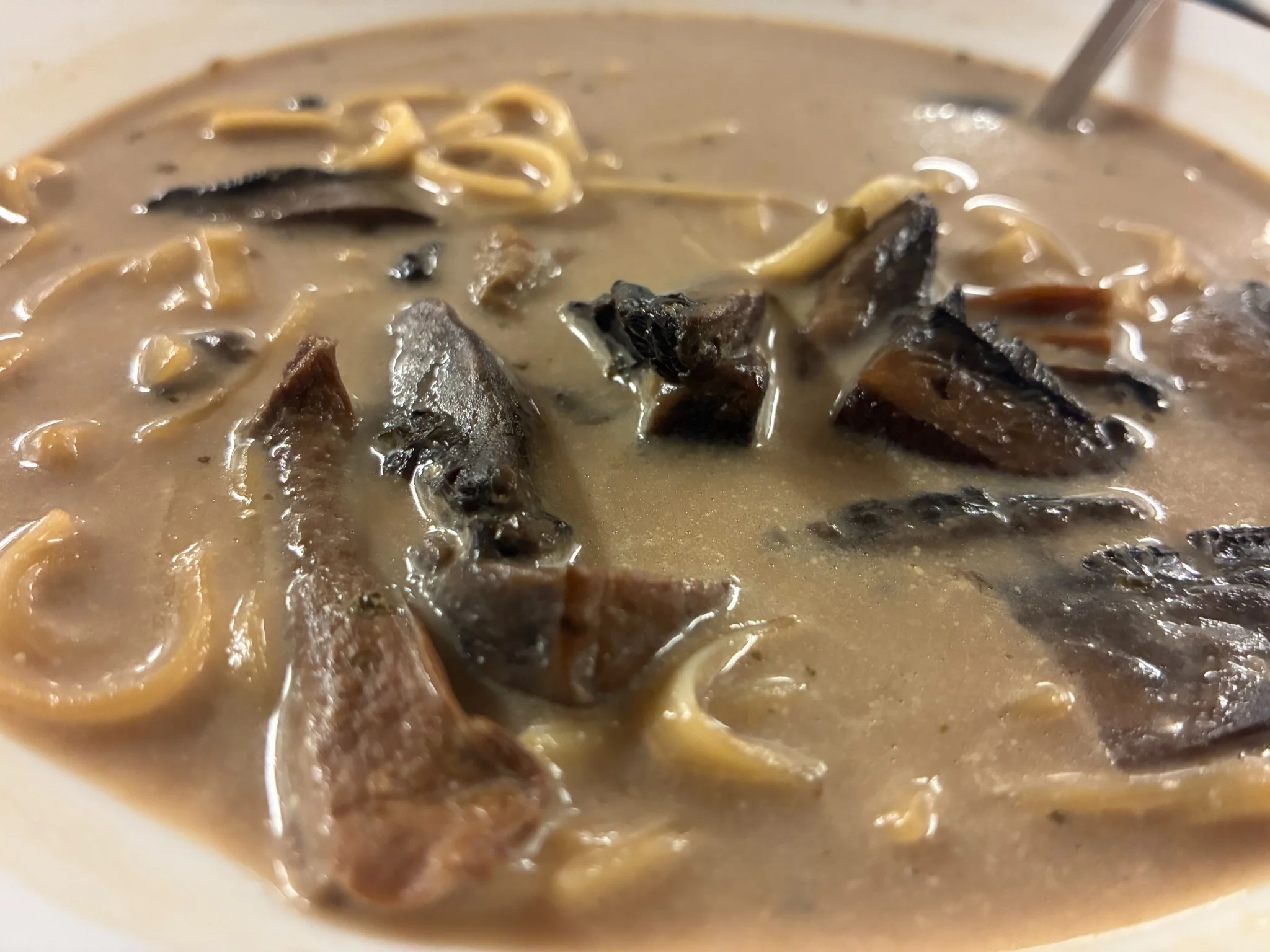 Creamy wild mushroom soup with forest mushroom slices and noodles in a white bowl.